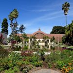 lily-pond-in-balboa-park